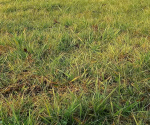 W tym roku zima nie zaskoczy drogowców! Wyjechali na drogi… KOSIARKAMI