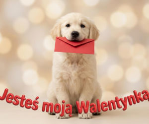 Darmowe kartki na Walentynki do ściągnięcia