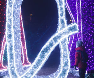 Park Iluminacji w zamku Topacz