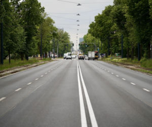 Zwężą Aleję Waszyngtona w Warszawie, by chronić drzewa. Będzie wielka przebudowa