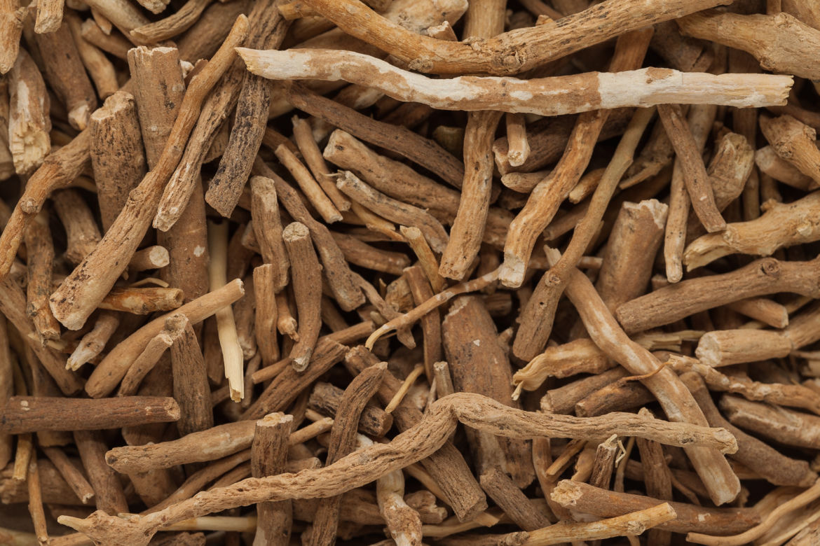 Ashwagandha (indyjski żeń szeń)
