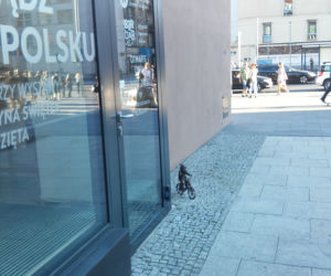 Nowy krasnal we Wrocławiu