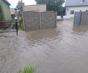 Zalane Nowe Miasto Lubawskie