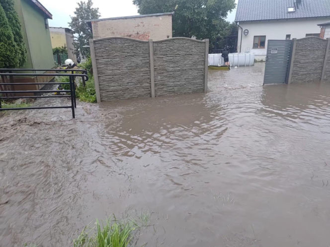 Zalane Nowe Miasto Lubawskie