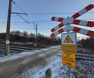 Pogrzeb ofiar wypadku pod Tarczynem. Anielka i Jaś spoczną z mamusią w jednym grobie