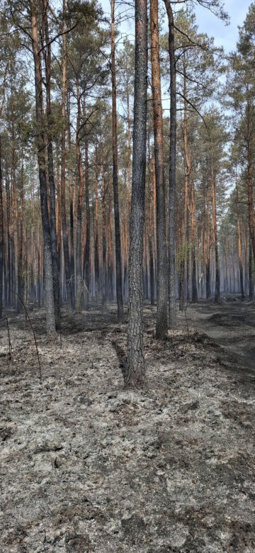 „Haczkarze” z Leszna. Strażacy GFFF Poland do zadań specjalnych