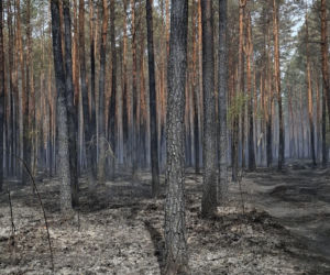 „Haczkarze” z Leszna. Strażacy GFFF Poland do zadań specjalnych