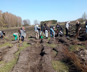 Akcja Grudziądzanie sadzą las!