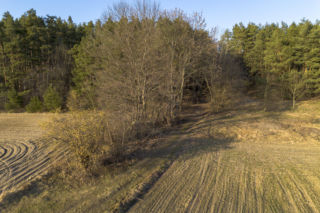 Pojechaliśmy na miejsce śmierci Magdaleny Majtyki. Nawet w dzień przyprawia o dreszcze