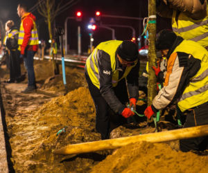 Nowe drzewa na ul. Marszałkowskiej w Warszawie