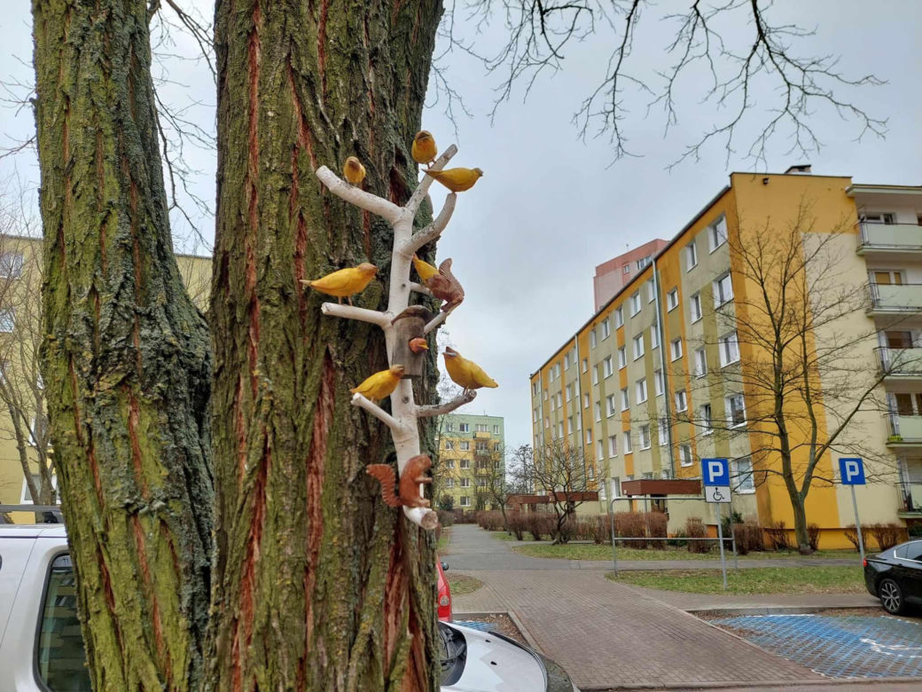 Na bydgoskich drzewach zawisły drewniane rzeźby ptaków i grajków. To pomysł mieszkańca