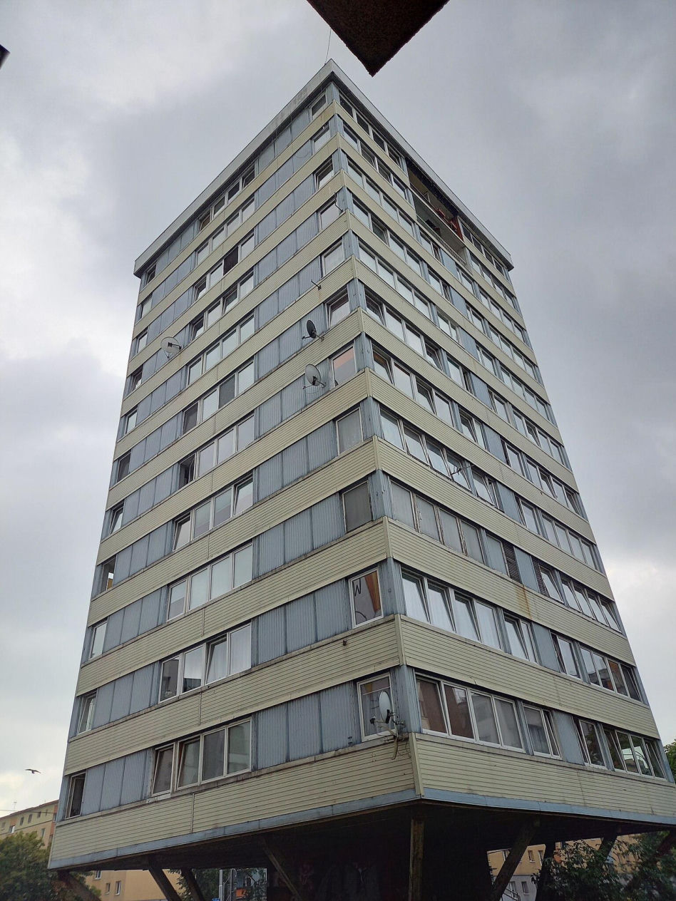 Trzonolinowiec we Wrocławiu