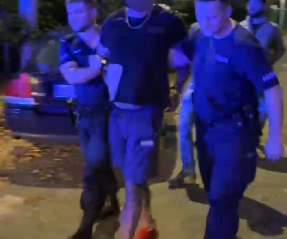 Akcja policji w Zielonce. Padły strzały ostrzegawcze