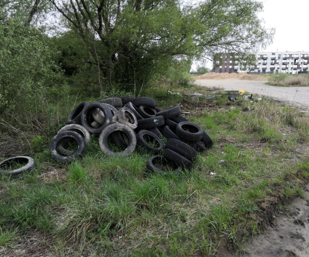Dzikie wysypisko odpadów na ulicy Krygiera