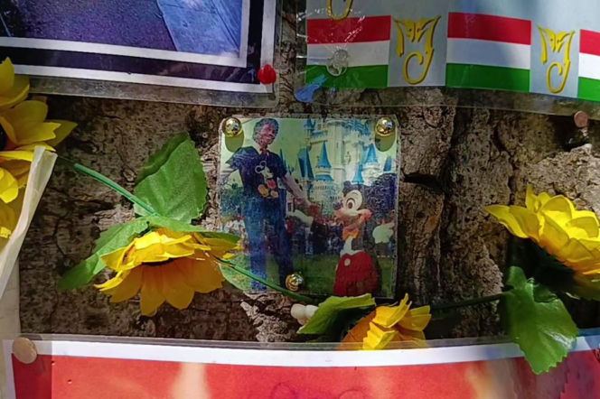 Drzewo pamięci Michaela Jacksona w Budapeszcie