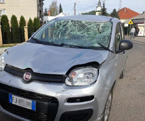 WJECHAŁ W LUDZI NAUMYŚLNIE