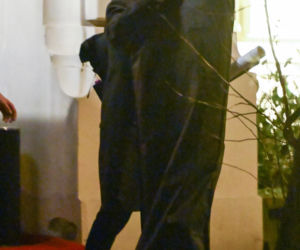 Natalia Kukulska świętuje 50-te urodziny