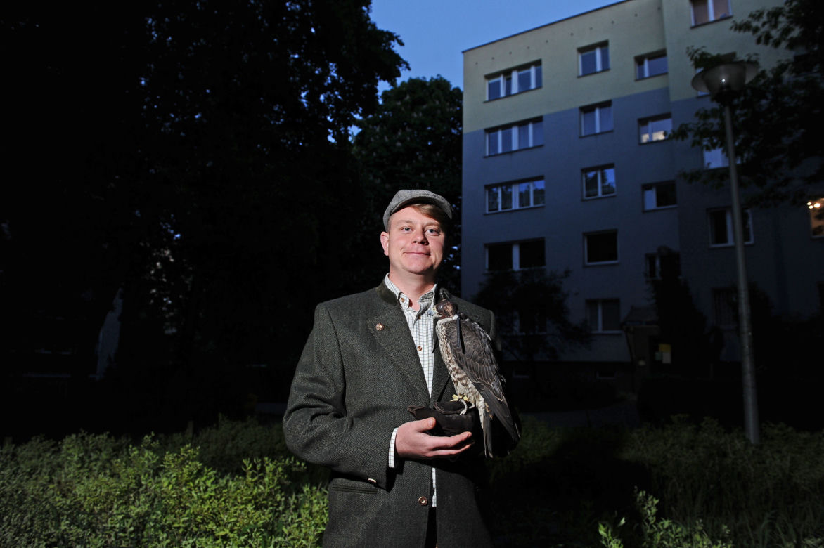 Jastrząb zaprowadzi porządek na Ursynowie. Nietypowy pomysł w Warszawie