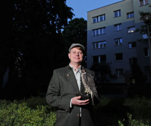 Jastrząb zaprowadzi porządek na Ursynowie. Nietypowy pomysł w Warszawie