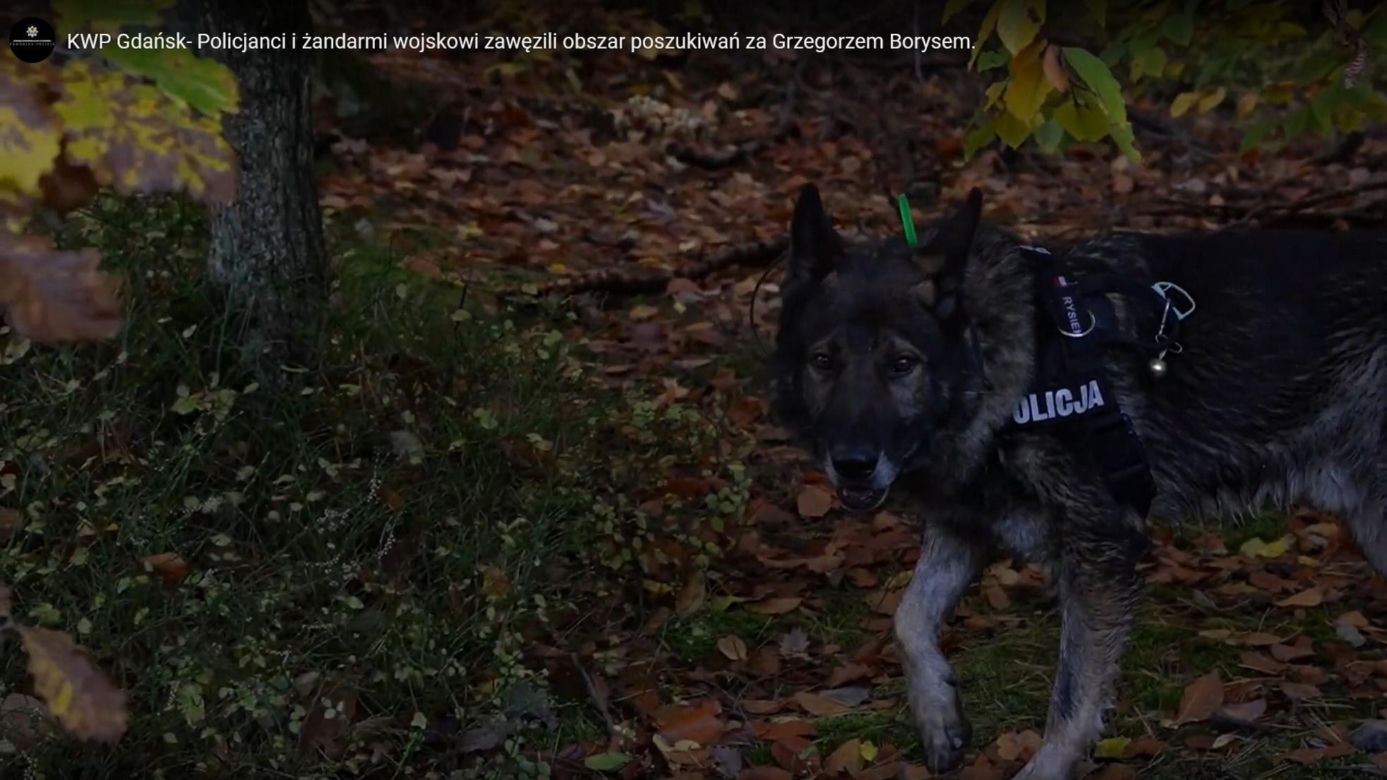 Poszukiwania Grzegorza Borysa. Służby zawęziły teren