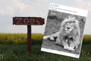 Zoo w Wojciechowie żegna swojego króla