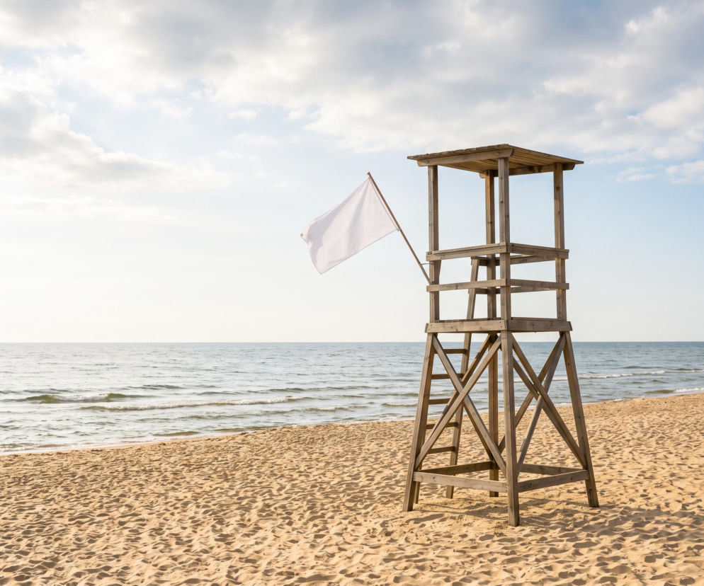 Sinice Stegna. Czy w Stegnie można się kąpać 28.08? Flaga, warunki pogodowe