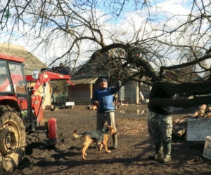 Rolnicy. Podlasie. Andrzej: To wszystko poobcinaj! Na łyso zrób!. Porządkowanie podwórka w Plutyczach