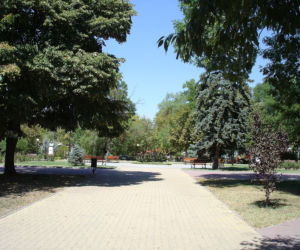 Dimitrovgrad