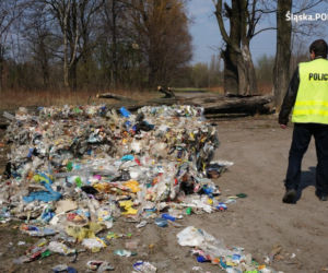 Zabrze: Zatrzymano dwóch mężczyzn, którzy przywozili na teren miasta nielegalne odpady [ZDJĘCIA]