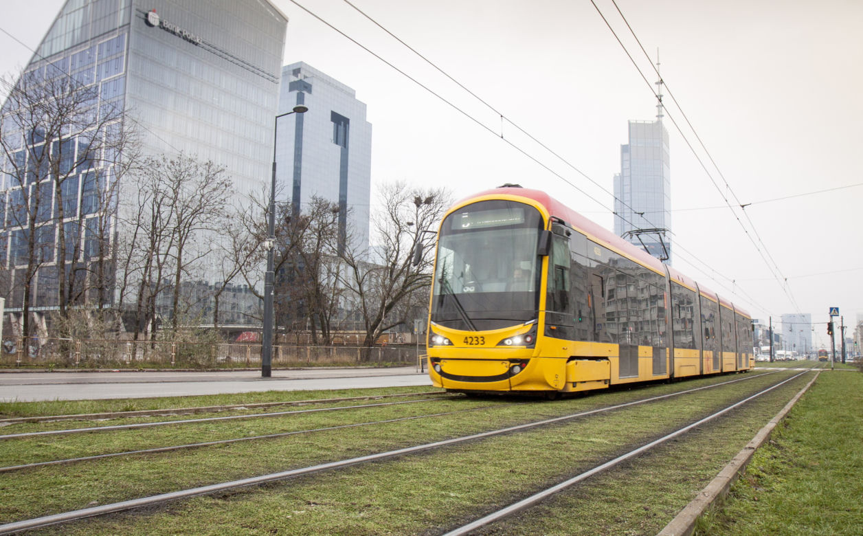 Tramwajarze zazielenili torowiska w centrum 