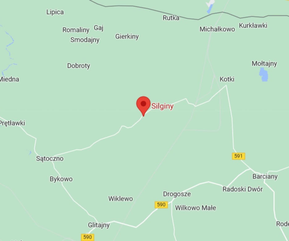 Silginy