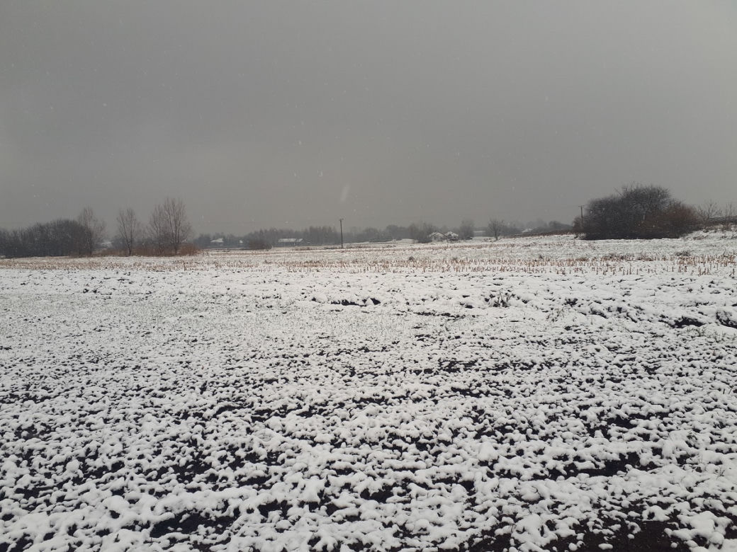 Piękna zima na Podkarpaciu. Sypnęło śniegiem [ZDJĘCIA]
