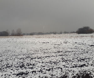 Piękna zima na Podkarpaciu. Sypnęło śniegiem [ZDJĘCIA]