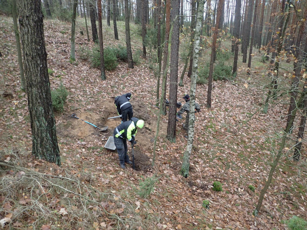 Szukali zabytków w lesie, znaleźli ludzkie szczątki. Na miejsce wezwano policję [ZDJĘCIA]