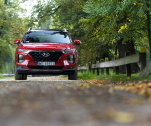 Hyundai Santa Fe 2.0 CRDi 185 KM 8AT 4WD Platinum