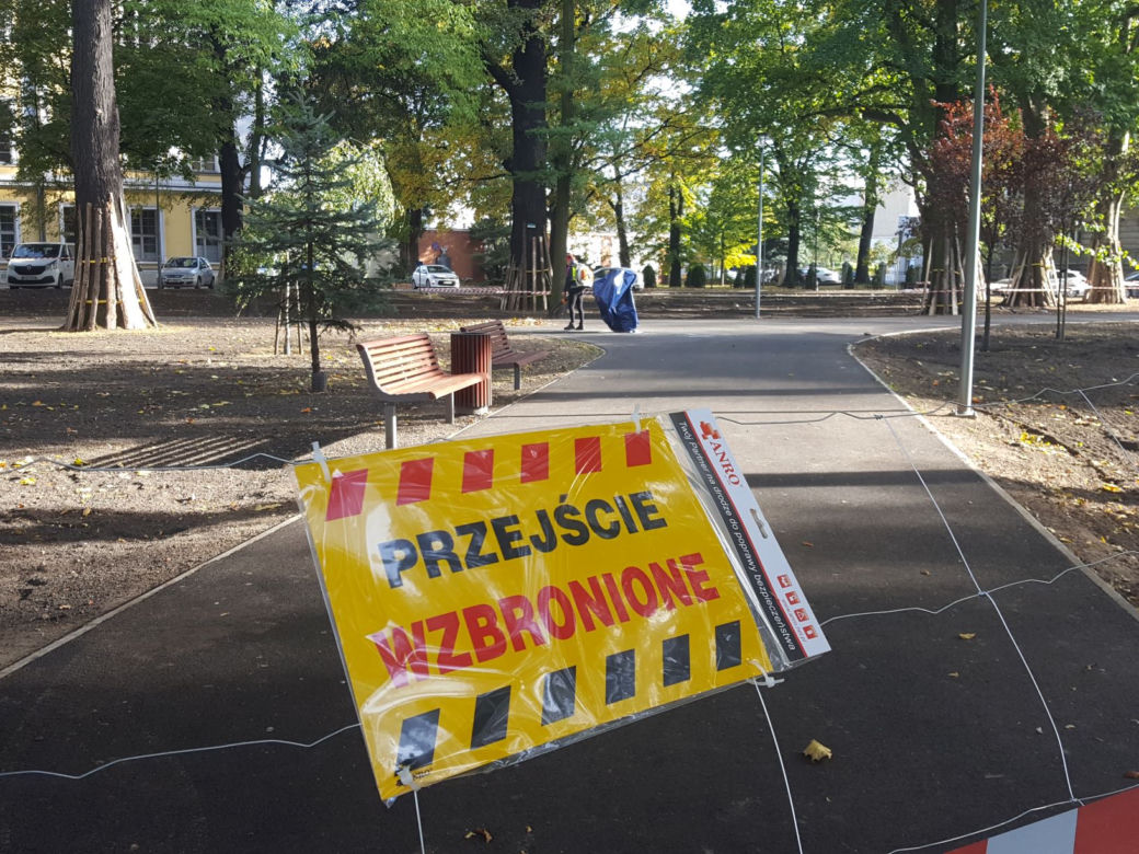 W Parku Kościuszki w Lesznie kwitnąć będą krokusy