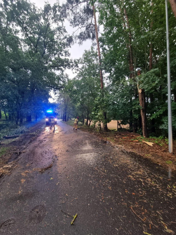 Tragiczne skutki nawałnicy na Kujawach i Pomorzu! Jednej osoba wciąż nie odnaleziono