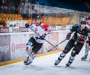 KH Energa Toruń - GKS Tychy 6:3, zdjęcia z Tor-Toru
