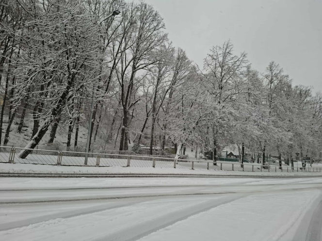 Atak zimy w Świętokrzyskiem. Śnieg i trudne warunki drogowe 23 Listopada 2025