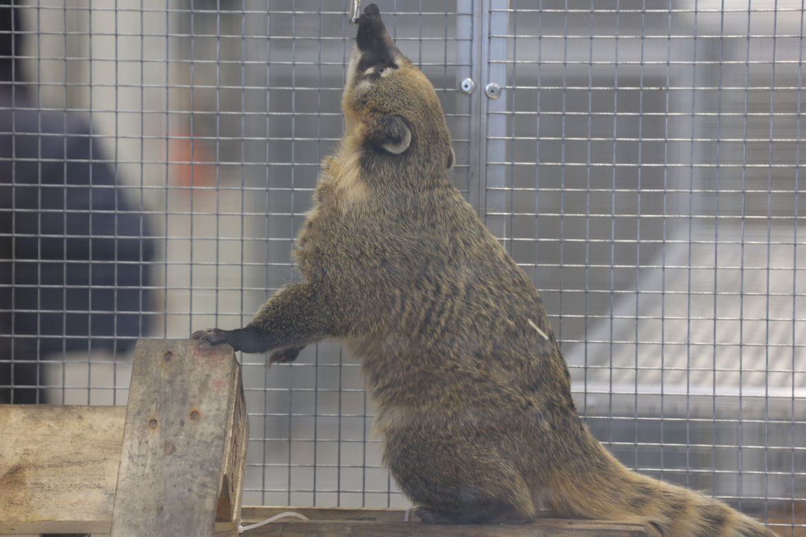 ZooPark 2023 w Lublinie przyciągnął tłumy!