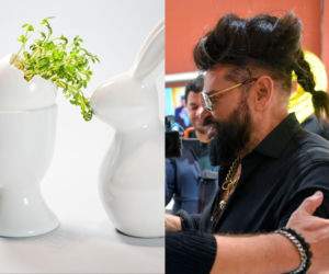 Rzeżuchy które wyglądają jak Krzysztof Rutkowski i jego legendarne fryzury