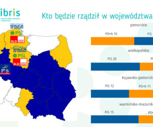 BADANIE STAYSTYCZNE - WYBORY