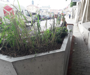 Parklety w centrum Lublina