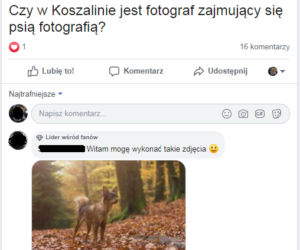 Fotograf dla psa