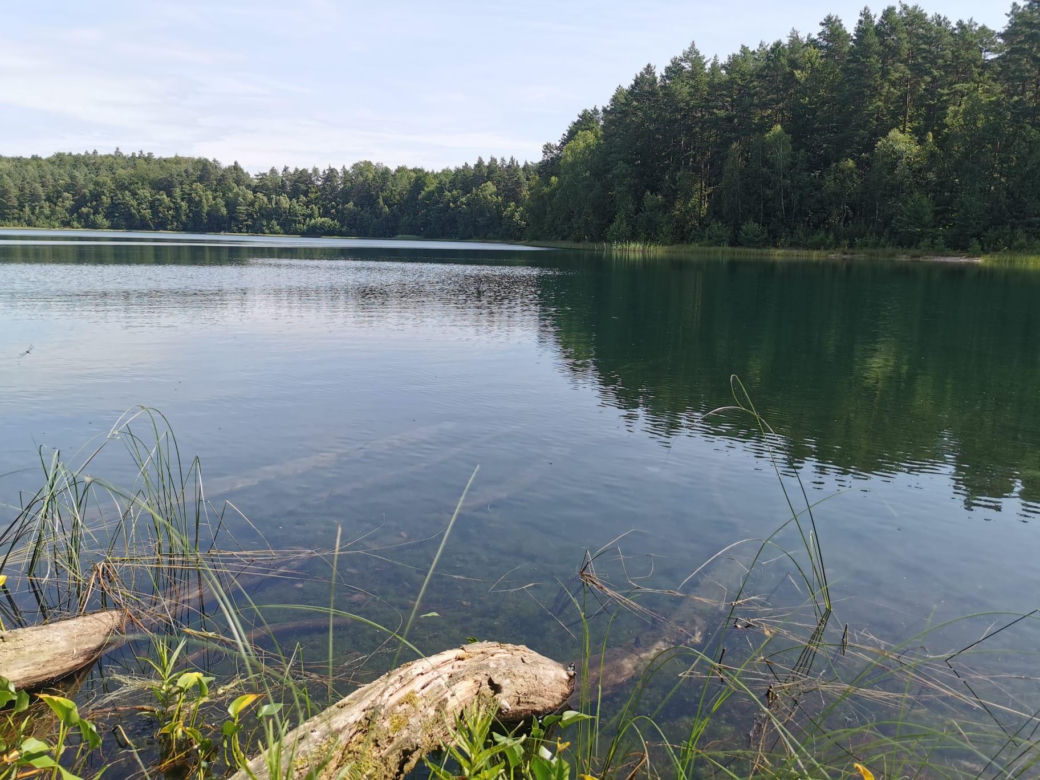 Jezioro Jasne