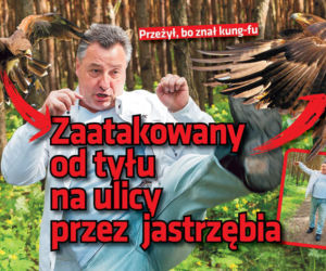 Zaatakowany od tyłu  na ulicy przez  jastrzębia