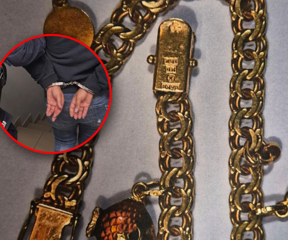 Rumuni ograbili 94-letnią Szwedkę i uciekli promem. Wpadli prosto w ręce polskiej policji