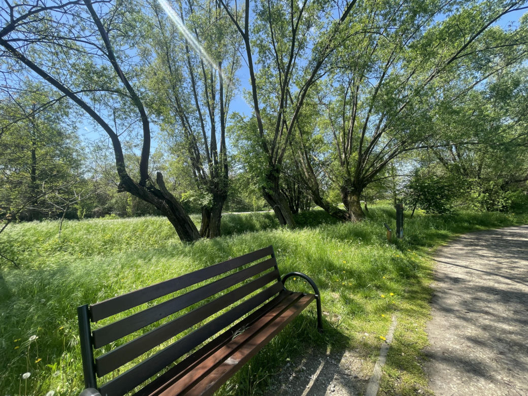 Najdłuższy park w Polsce jest w Krakowie. Ledwo widać go na mapach, a jest pełen atrakcji