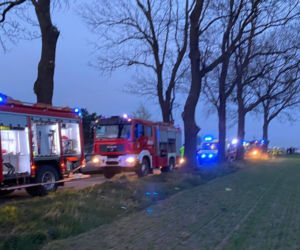Makabryczna śmierć pod Płockiem! BMW roztrzaskało się o drzewo [ZDJĘCIA]