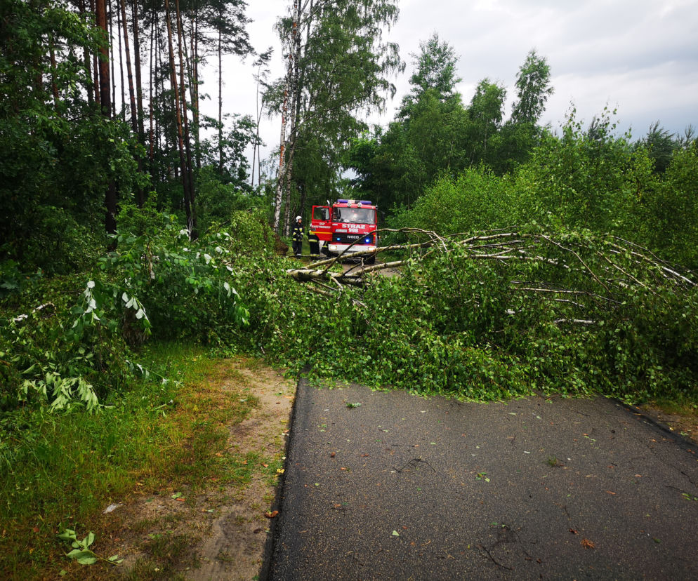 Burze, ulewy i wichury w Śląskiem. Interwencje straży pożarnej [ZDJĘCIA, 24.06.2021]